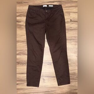 Curve Apparel Minimalist Jegging Chocolate Brown Women’s Size 10/30